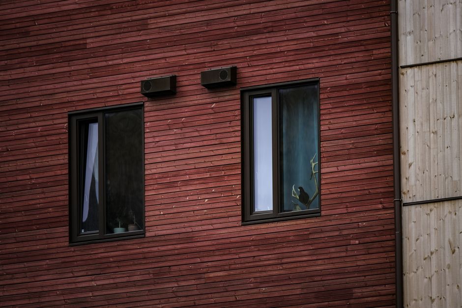Modern replacement windows installed in a residential home